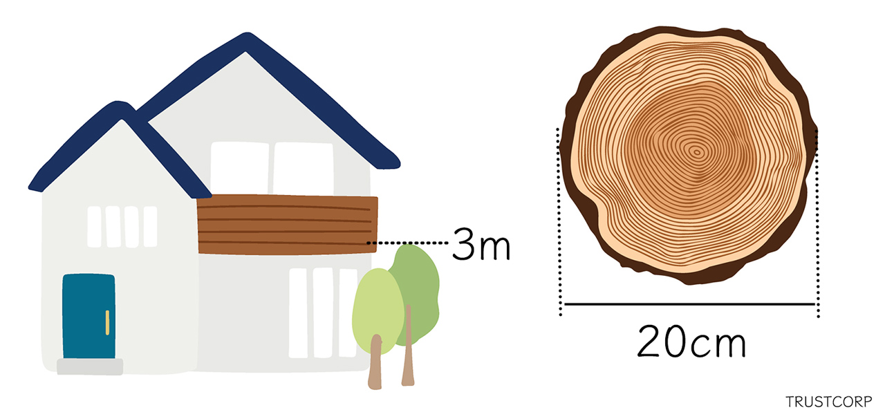 自分で伐採できる木の高さや大きさの基準